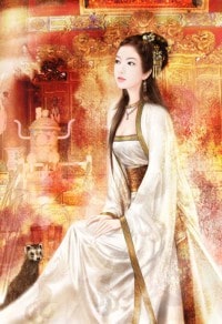 貴婦的面紗